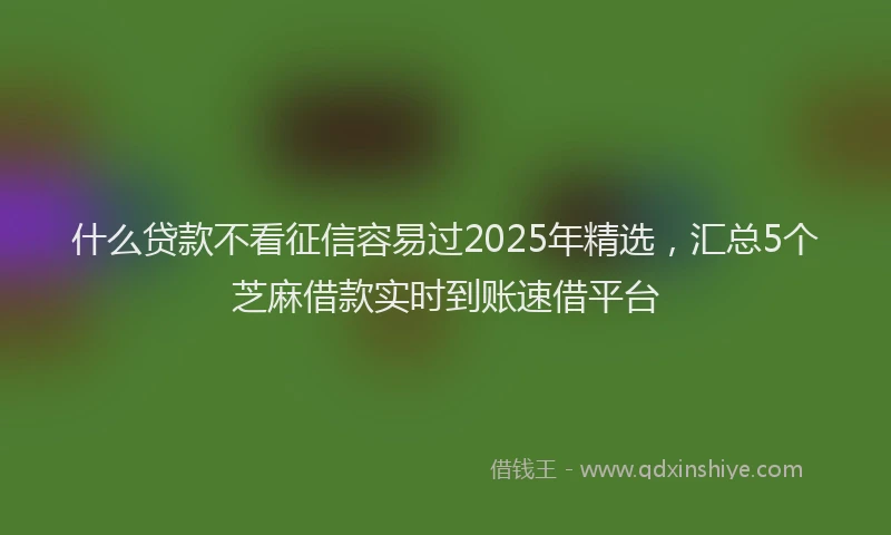 什么贷款不看征信容易过2025年精选，汇总5个芝麻借款实时到账速借平台