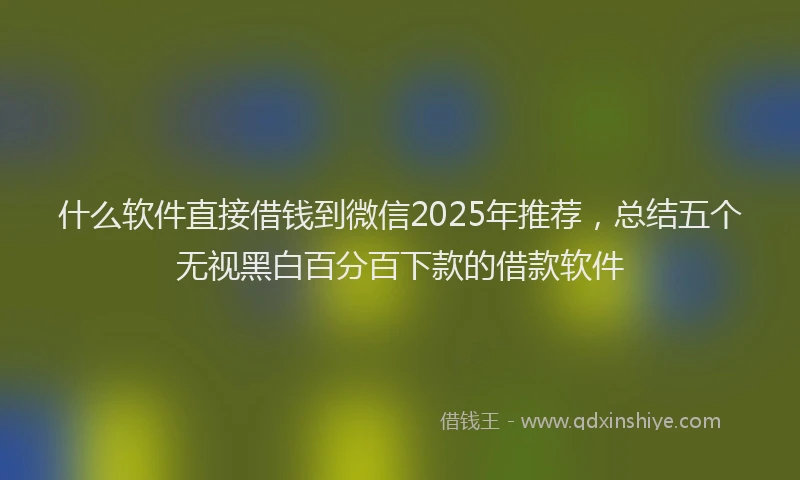 什么软件直接借钱到微信2025年推荐，总结五个无视黑白百分百下款的借款软件