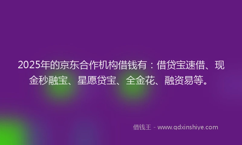 2025年的京东合作机构借钱有：借贷宝速借、现金秒融宝、星愿贷宝、全金花、融资易等。