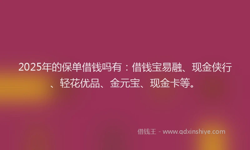 2025年的保单借钱吗有：借钱宝易融、现金侠行、轻花优品、金元宝、现金卡等。