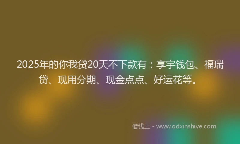 2025年的你我贷20天不下款有：享宇钱包、福瑞贷、现用分期、现金点点、好运花等。