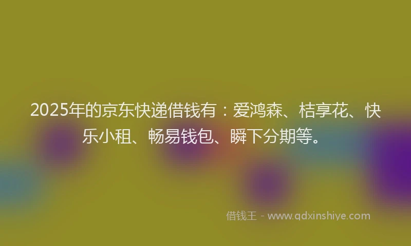 2025年的京东快递借钱有：爱鸿森、桔享花、快乐小租、畅易钱包、瞬下分期等。