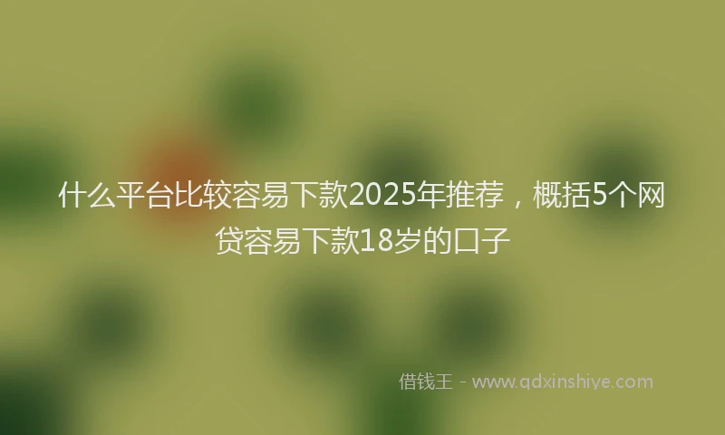 什么平台比较容易下款2025年推荐，概括5个网贷容易下款18岁的口子