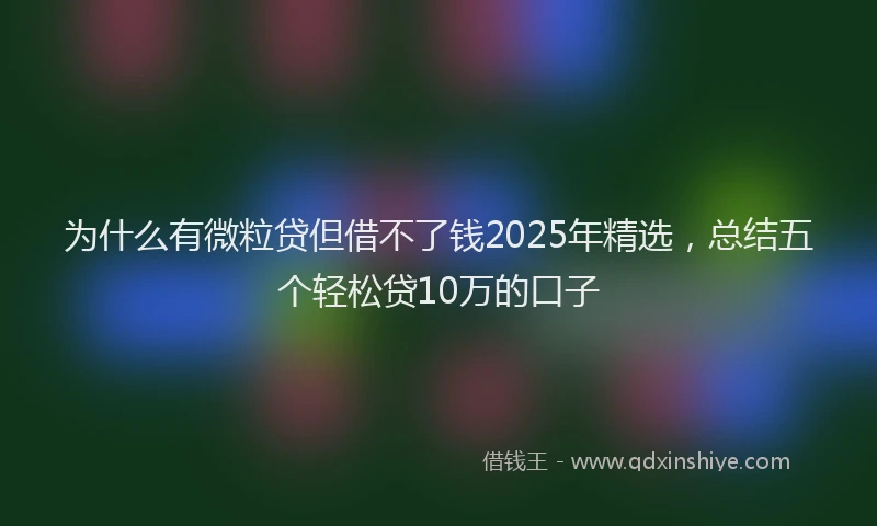 为什么有微粒贷但借不了钱2025年精选,总结五个轻松贷10万的口子