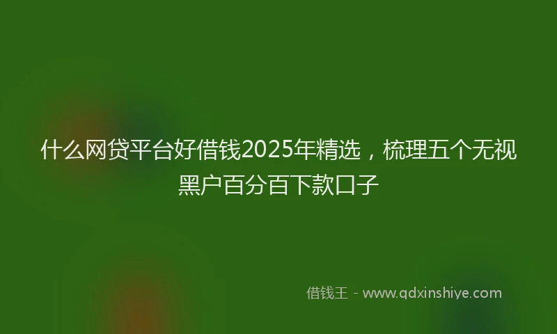 什么网贷平台好借钱2025年精选,梳理五个无视黑户百分百下款口子