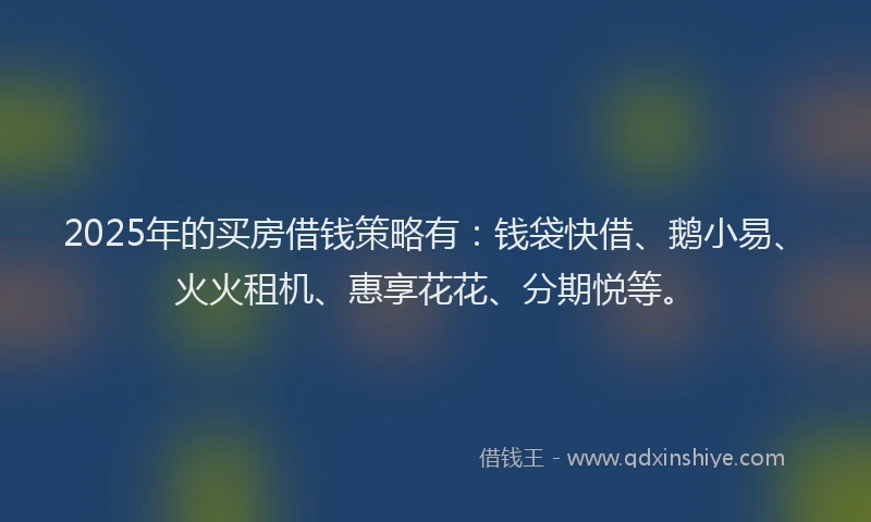 2025年的买房借钱策略有：钱袋快借、鹅小易、火火租机、惠享花花、分期悦等。