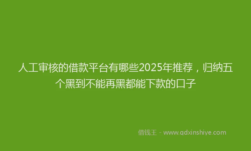 人工审核的借款平台有哪些2025年推荐,归纳五个黑到不能再黑都能下款的口子