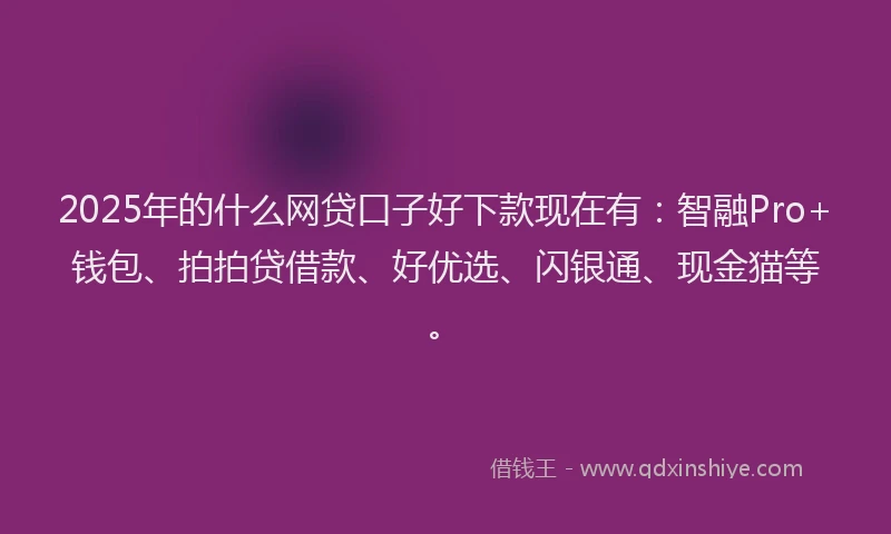 2025年的什么网贷口子好下款现在有：智融Pro+钱包、拍拍贷借款、好优选、闪银通、现金猫等。