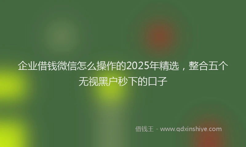 企业借钱微信怎么操作的2025年精选，整合五个无视黑户秒下的口子