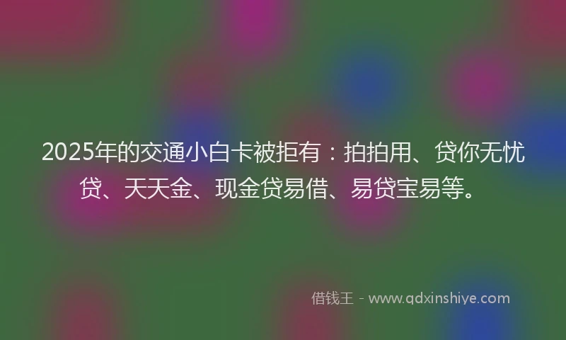 2025年的交通小白卡被拒有：拍拍用、贷你无忧贷、天天金、现金贷易借、易贷宝易等。