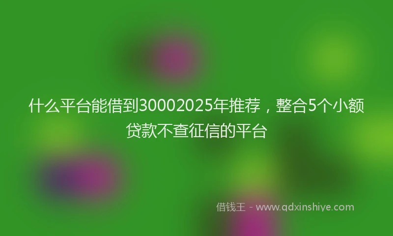 什么平台能借到30002025年推荐，整合5个小额贷款不查征信的平台