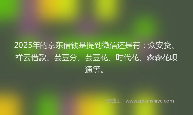 2025年的京东借钱是提到微信还是有：众安贷、祥云借款、芸豆分、芸豆花、时代花、森森花呗通等。