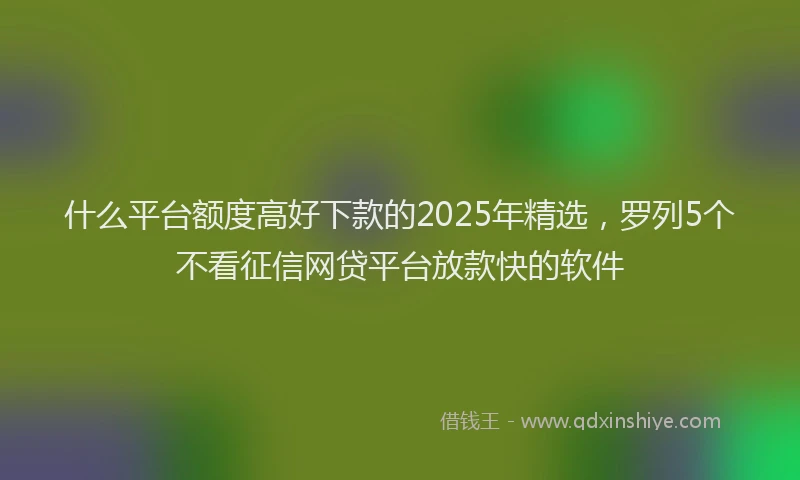 什么平台额度高好下款的2025年精选，罗列5个不看征信网贷平台放款快的软件