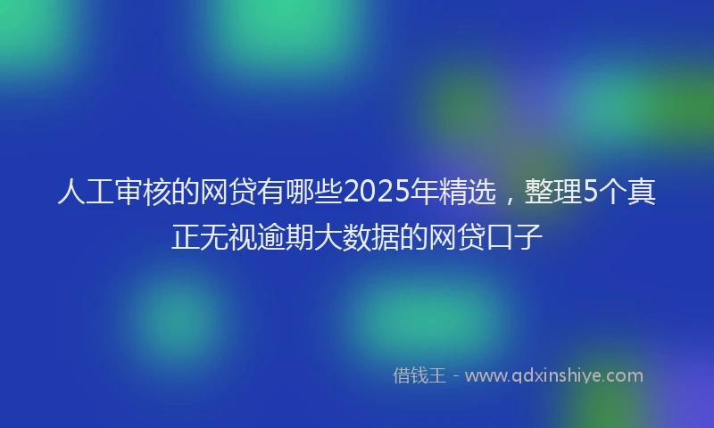 人工审核的网贷有哪些2025年精选,整理5个真正无视逾期大数据的网贷口子