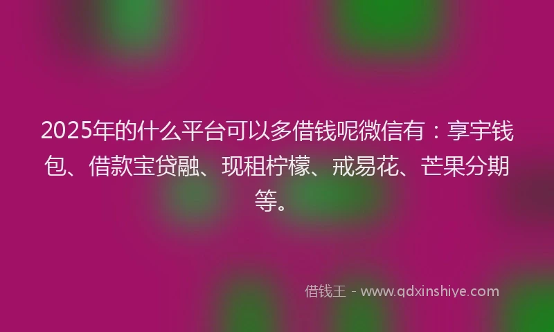 2025年的什么平台可以多借钱呢微信有：享宇钱包、借款宝贷融、现租柠檬、戒易花、芒果分期等。