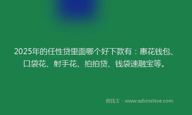 2025年的任性贷里面哪个好下款有：惠花钱包、口袋花、射手花、拍拍贷、钱袋速融宝等。