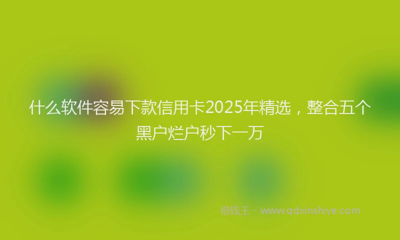 什么软件容易下款信用卡2025年精选,整合五个黑户烂户秒下一万
