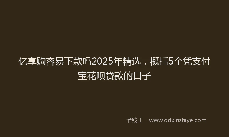 亿享购容易下款吗2025年精选，概括5个凭支付宝花呗贷款的口子