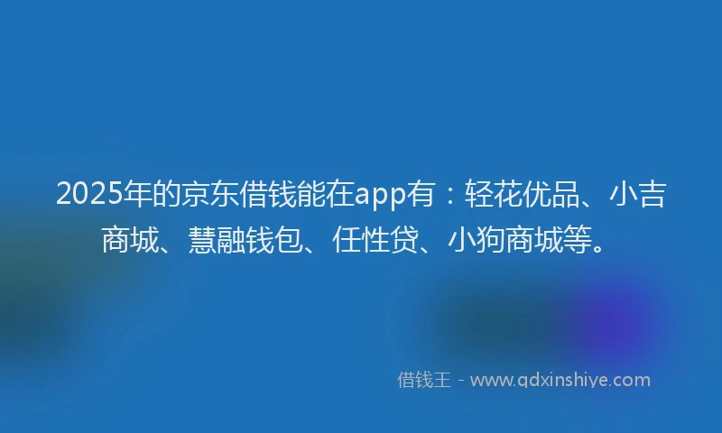 2025年的京东借钱能在app有：轻花优品、小吉商城、慧融钱包、任性贷、小狗商城等。