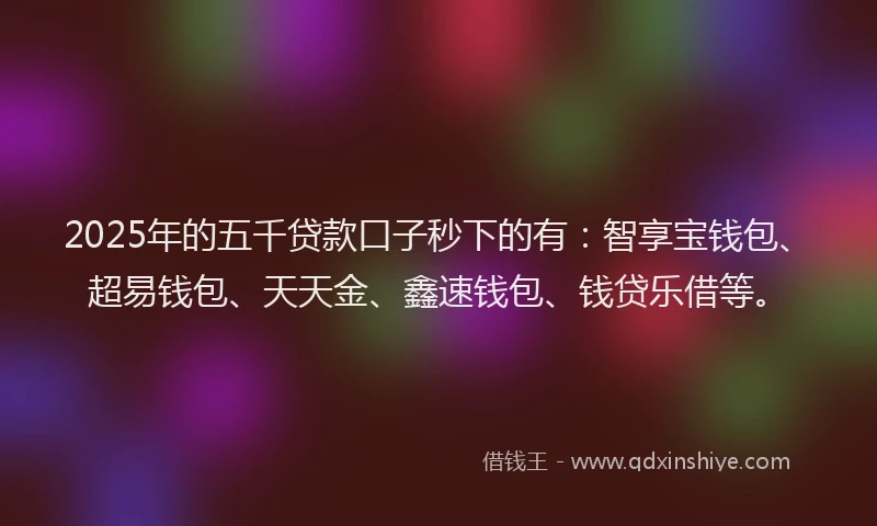 2025年的五千贷款口子秒下的有：智享宝钱包、超易钱包、天天金、鑫速钱包、钱贷乐借等。