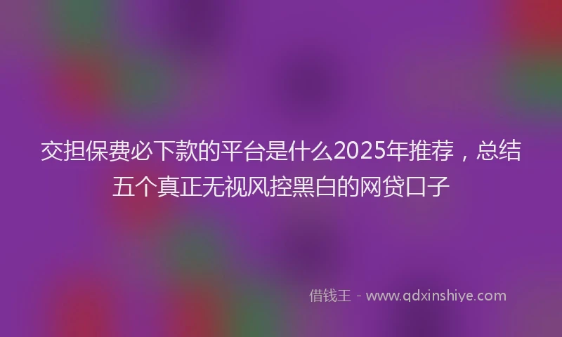 交担保费必下款的平台是什么2025年推荐，总结五个真正无视风控黑白的网贷口子