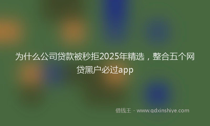 为什么公司贷款被秒拒2025年精选，整合五个网贷黑户必过app