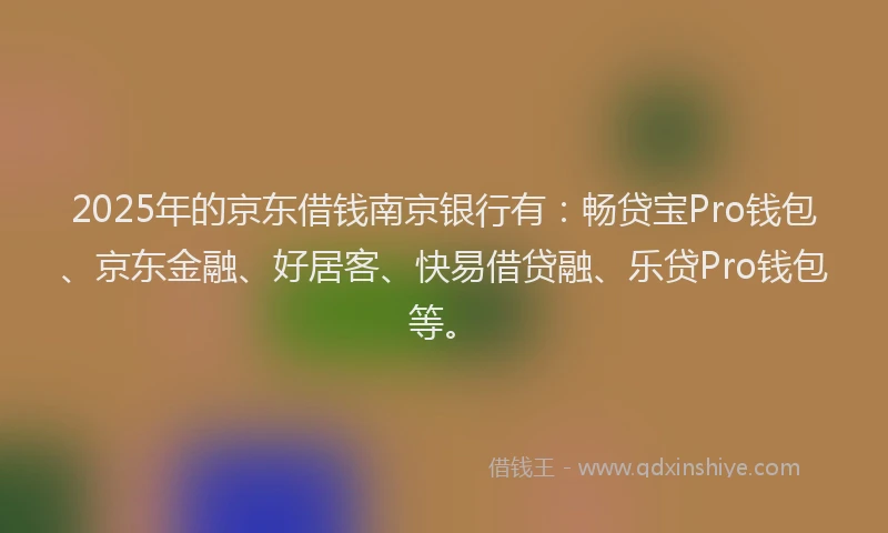 2025年的京东借钱南京银行有：畅贷宝Pro钱包、京东金融、好居客、快易借贷融、乐贷Pro钱包等。