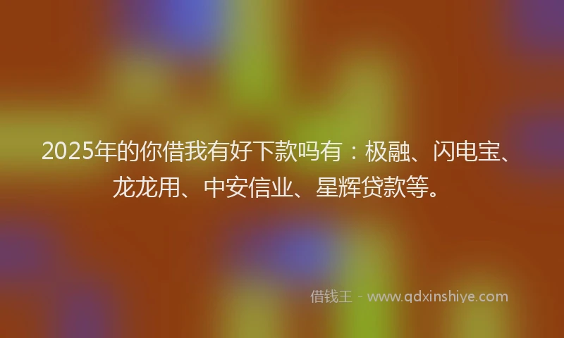 2025年的你借我有好下款吗有：极融、闪电宝、龙龙用、中安信业、星辉贷款等。
