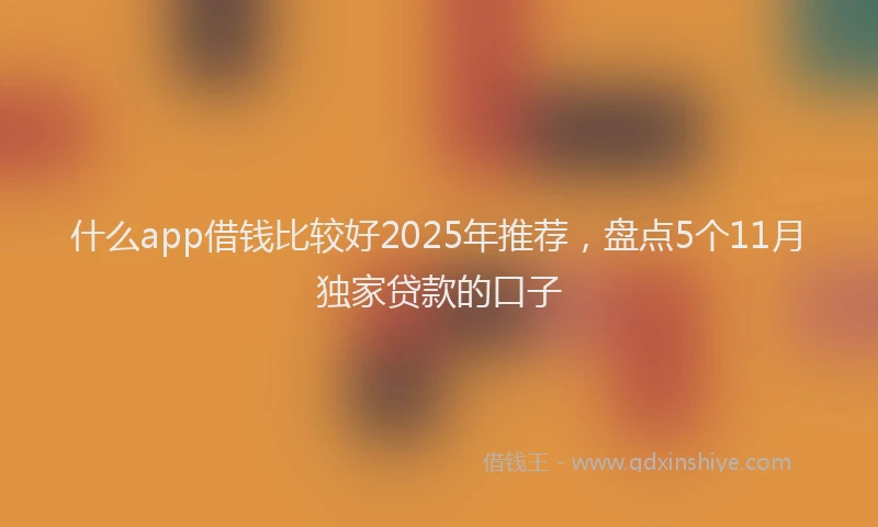 什么app借钱比较好2025年推荐，盘点5个11月独家贷款的口子