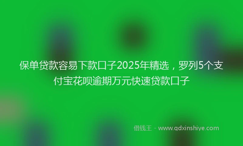 保单贷款容易下款口子2025年精选，罗列5个支付宝花呗逾期万元快速贷款口子