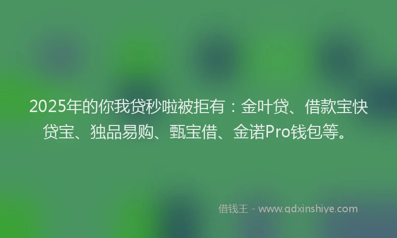 2025年的你我贷秒啦被拒有：金叶贷、借款宝快贷宝、独品易购、甄宝借、金诺Pro钱包等。