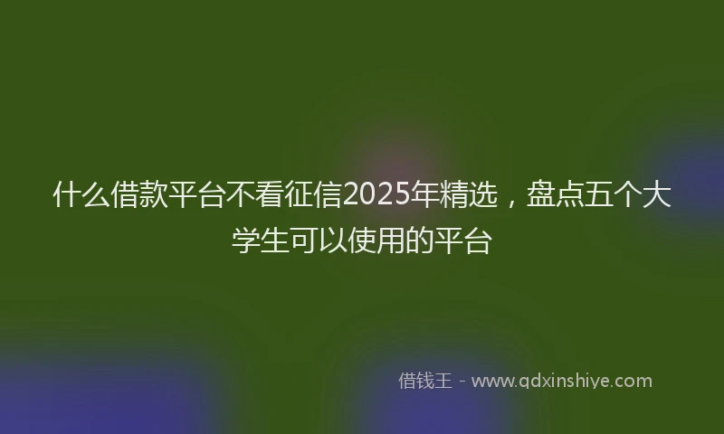 什么借款平台不看征信2025年精选，盘点五个大学生可以使用的平台