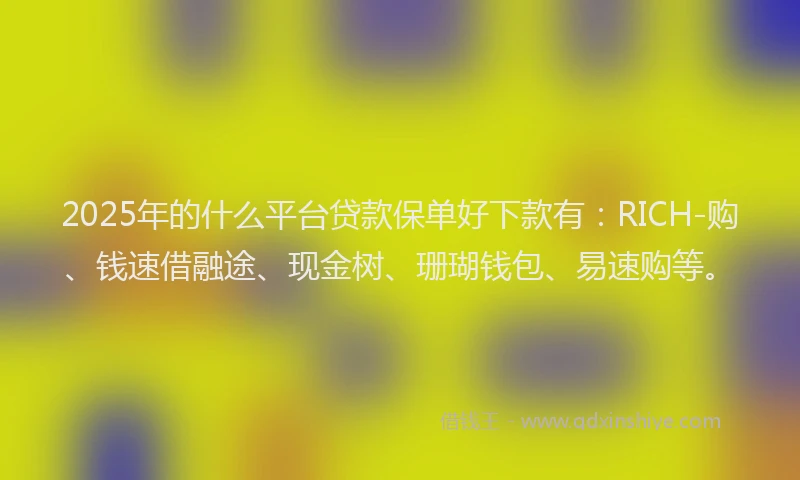 2025年的什么平台贷款保单好下款有：RICH-购、钱速借融途、现金树、珊瑚钱包、易速购等。