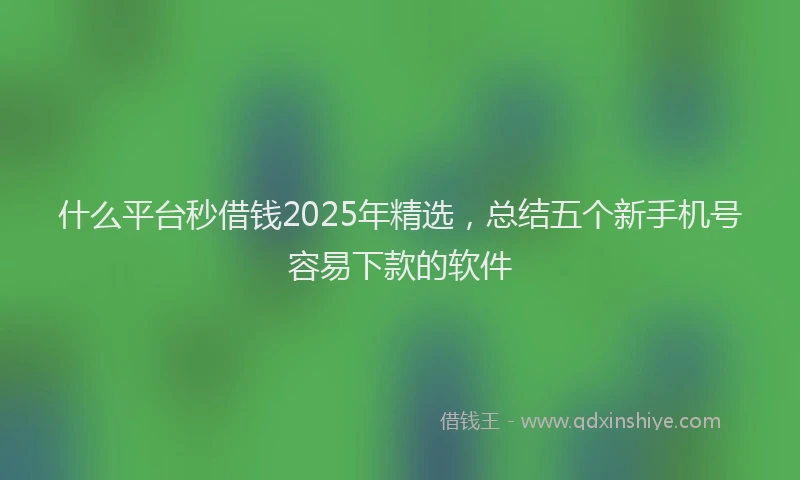 什么平台秒借钱2025年精选，总结五个新手机号容易下款的软件