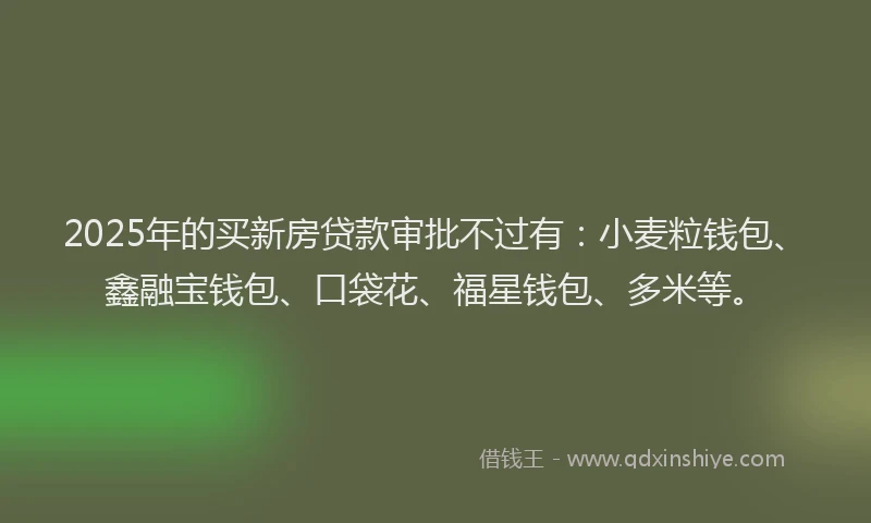 2025年的买新房贷款审批不过有：小麦粒钱包、鑫融宝钱包、口袋花、福星钱包、多米等。