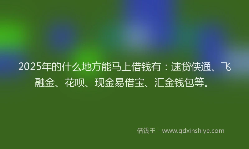 2025年的什么地方能马上借钱有：速贷侠通、飞融金、花呗、现金易借宝、汇金钱包等。