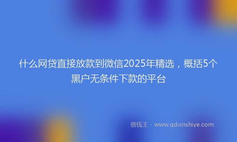 什么网贷直接放款到微信2025年精选，概括5个黑户无条件下款的平台