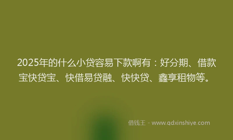 2025年的什么小贷容易下款啊有：好分期、借款宝快贷宝、快借易贷融、快快贷、鑫享租物等。
