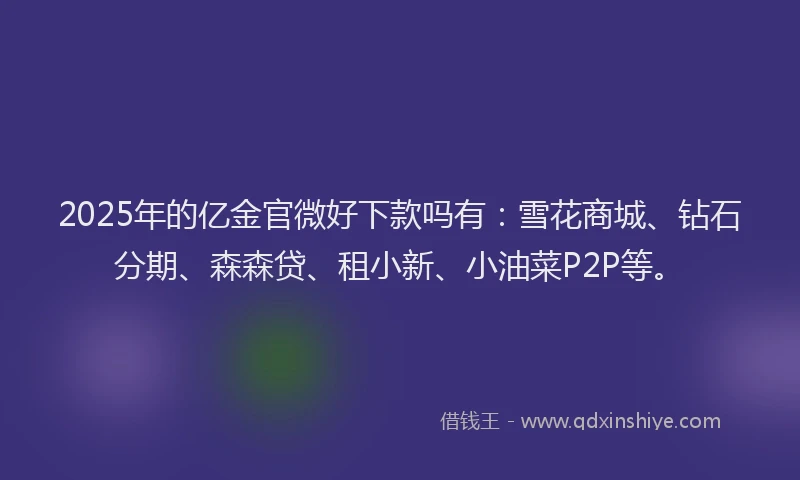 2025年的亿金官微好下款吗有：雪花商城、钻石分期、森森贷、租小新、小油菜P2P等。