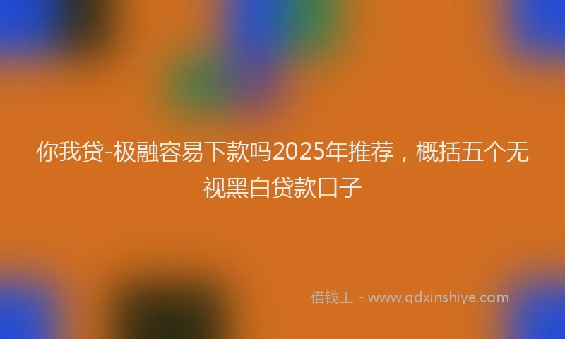 你我贷-极融容易下款吗2025年推荐，概括五个无视黑白贷款口子