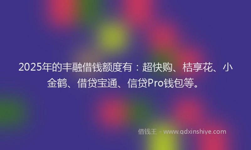 2025年的丰融借钱额度有：超快购、桔享花、小金鹤、借贷宝通、信贷Pro钱包等。