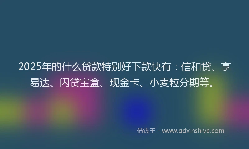2025年的什么贷款特别好下款快有：信和贷、享易达、闪贷宝盒、现金卡、小麦粒分期等。