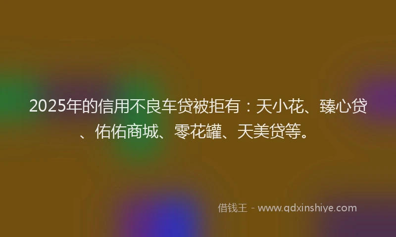 2025年的信用不良车贷被拒有：天小花、臻心贷、佑佑商城、零花罐、天美贷等。