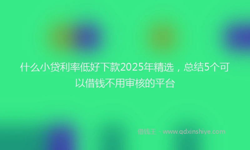 什么小贷利率低好下款2025年精选，总结5个可以借钱不用审核的平台