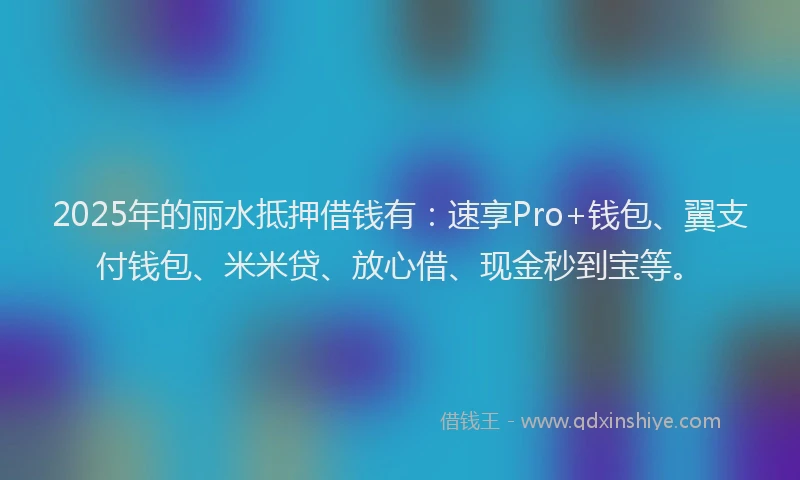 2025年的丽水抵押借钱有：速享Pro+钱包、翼支付钱包、米米贷、放心借、现金秒到宝等。