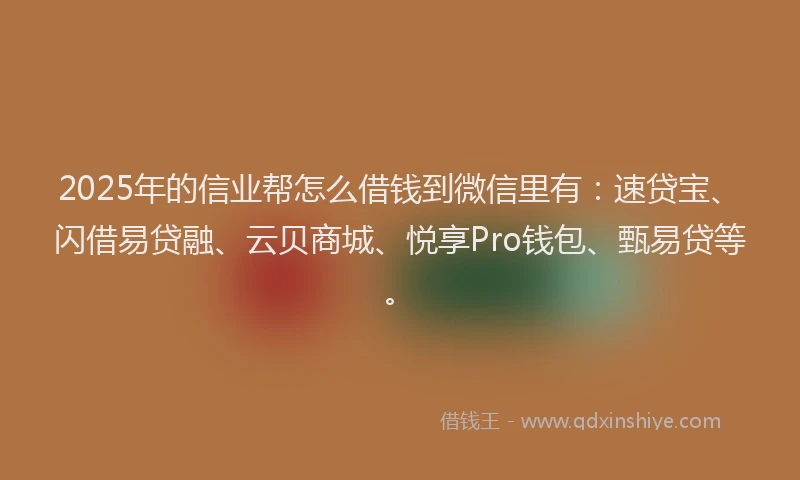 2025年的信业帮怎么借钱到微信里有:速贷宝、闪借易贷融、云贝商城、悦享Pro钱包、甄易贷等。