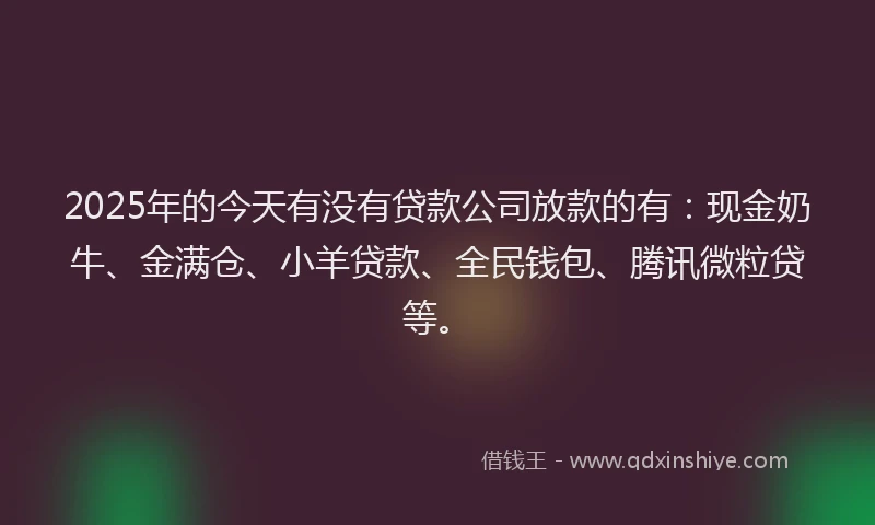 2025年的今天有没有贷款公司放款的有：现金奶牛、金满仓、小羊贷款、全民钱包、腾讯微粒贷等。