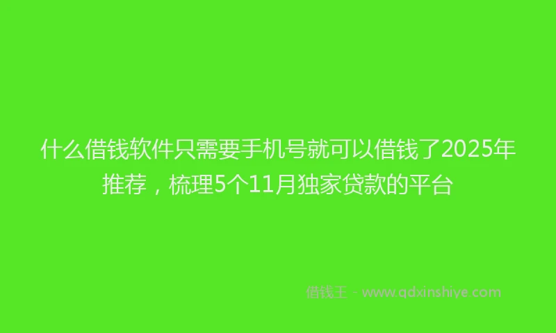 什么借钱软件只需要手机号就可以借钱了2025年推荐,梳理5个11月独家贷款的平台