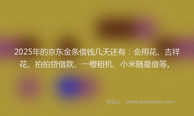 2025年的京东金条借钱几天还有:会用花、吉祥花、拍拍贷借款、一橙租机、小米随星借等。