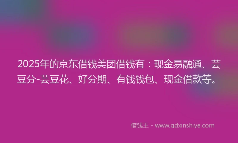 2025年的京东借钱美团借钱有：现金易融通、芸豆分-芸豆花、好分期、有钱钱包、现金借款等。